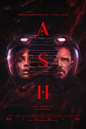 Limited Offer Ash / (Sgnl)