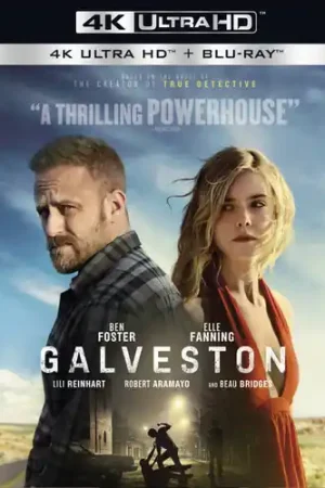Galveston Hot Picks