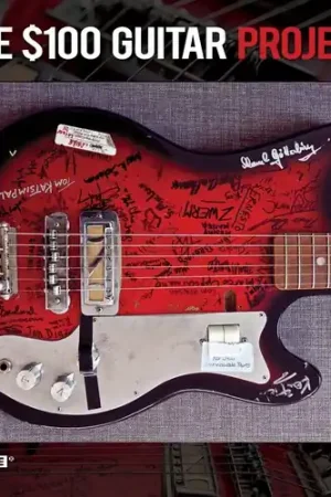 $100 Guitar Project / Various Big Sale