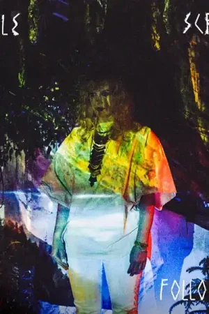 Bulk Order Little Scream - Cult Following (LP)